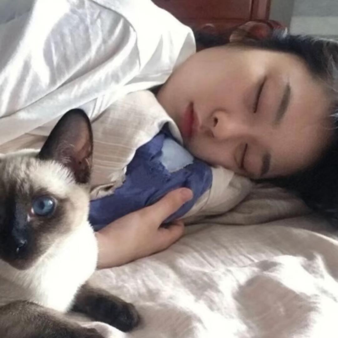 不吃西红柿.🍅