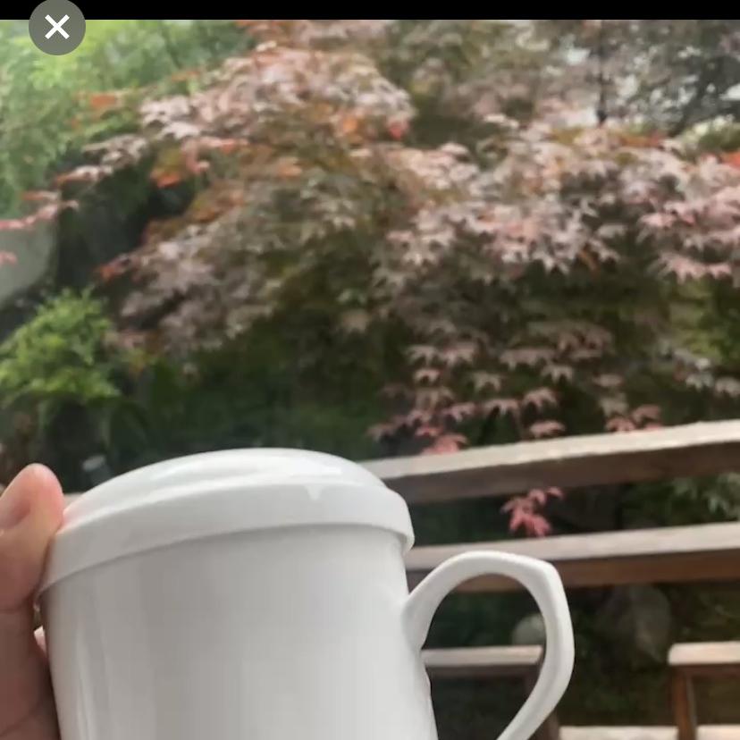 瓷上功夫·茶器收藏兰卡陶瓷餐具碗盘