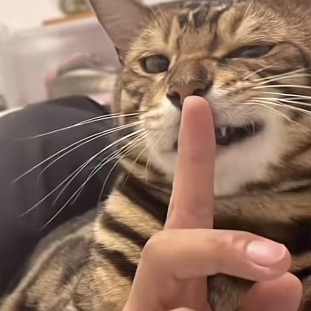 沐辰（三角洲）