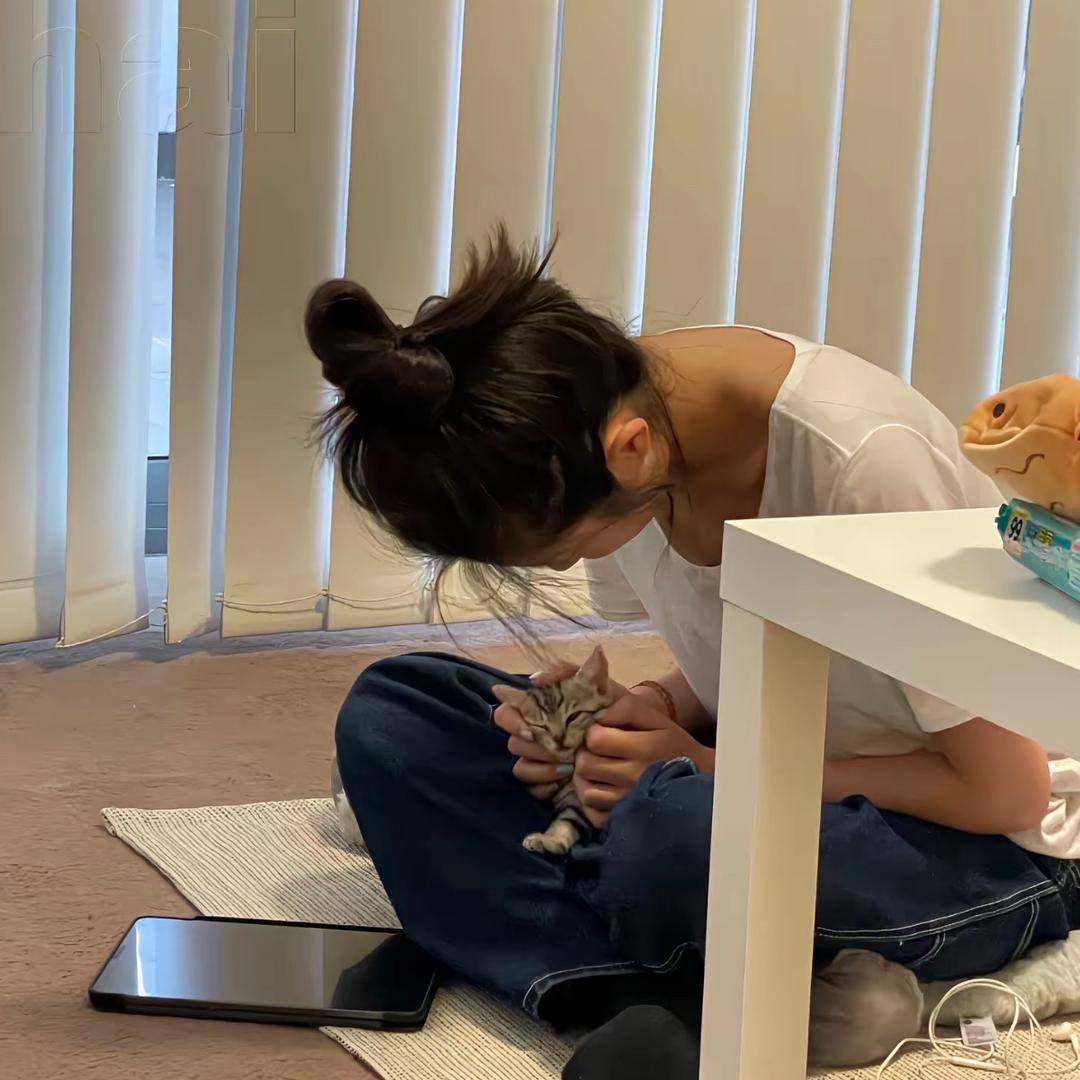 未忆冬