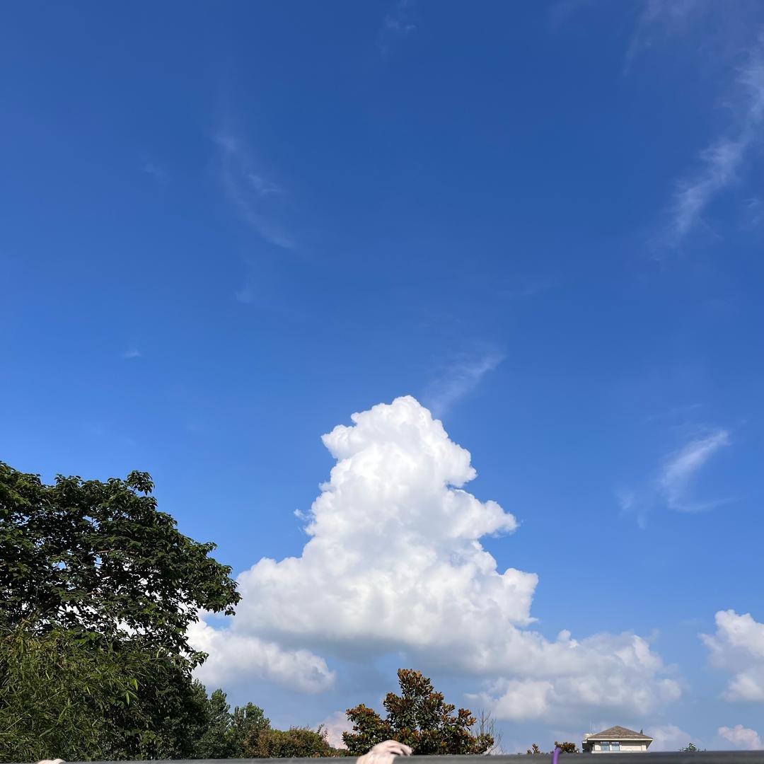 🌈阿占