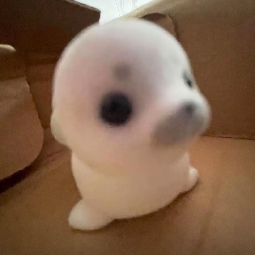 我就爱睡觉