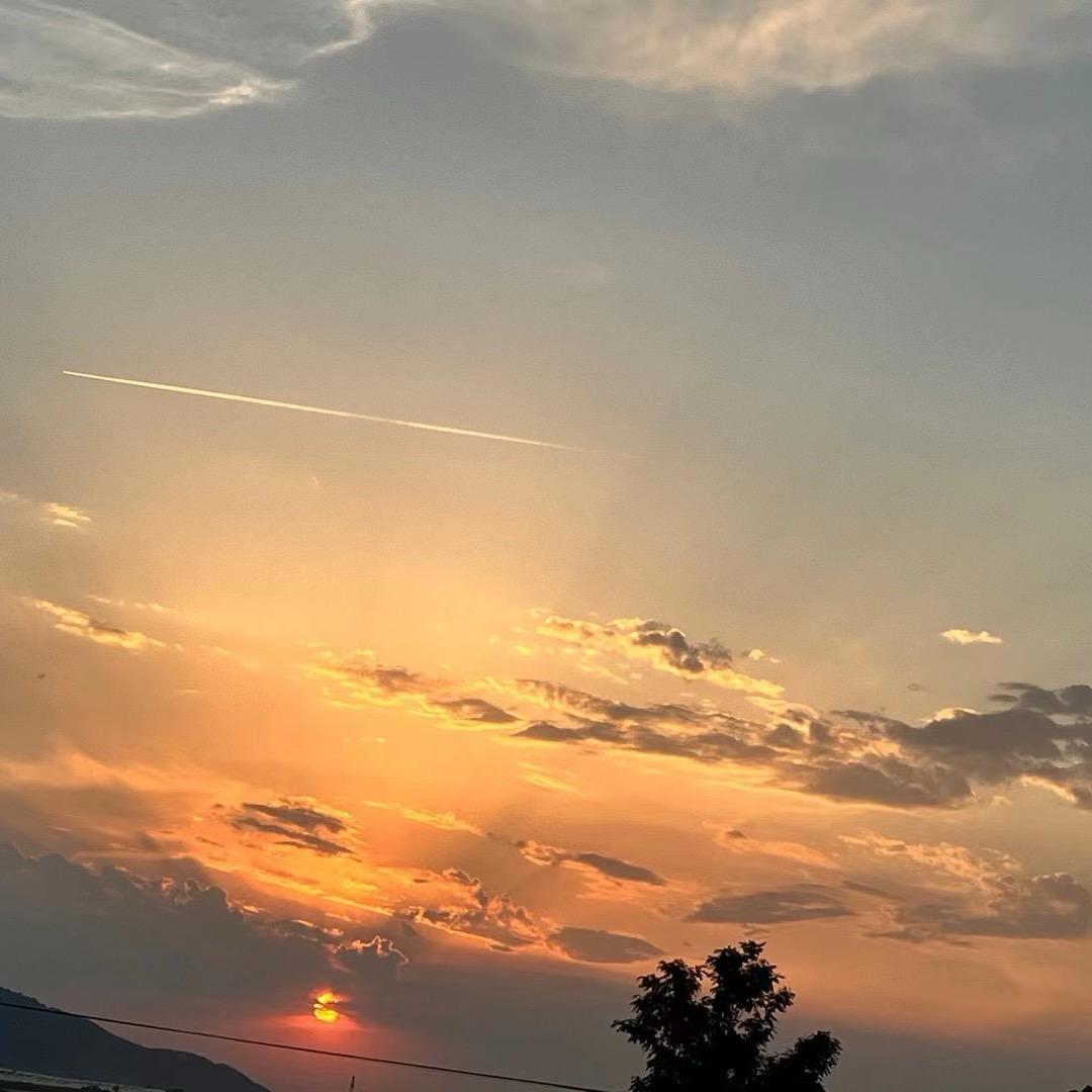 董小笨🐳。-BSD