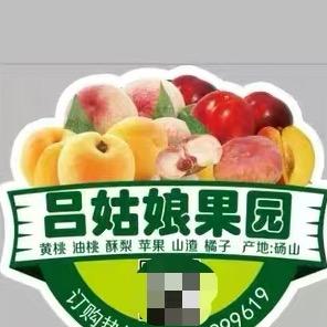 吕姑娘果园