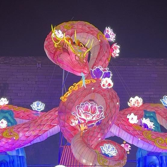 大丽下南洋