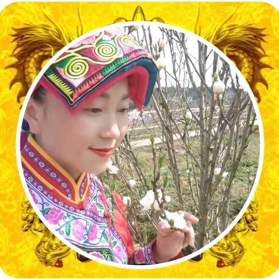 舞动奇迹（晚上6点）