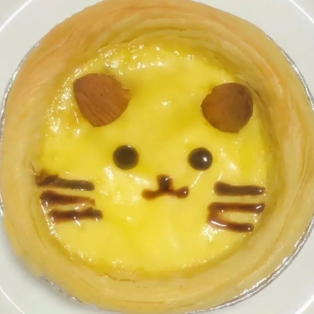 我是一只猫快乐的星猫