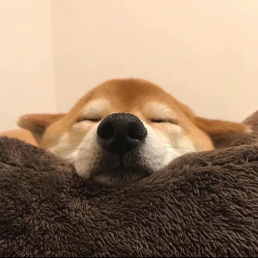 污芊˙ꙫ˙