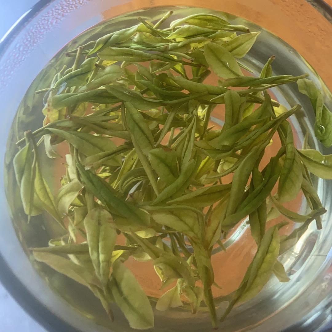 野茶丫