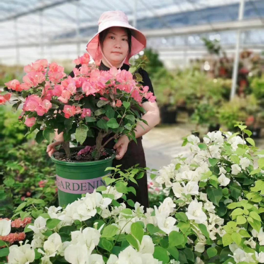 铃兰花匠