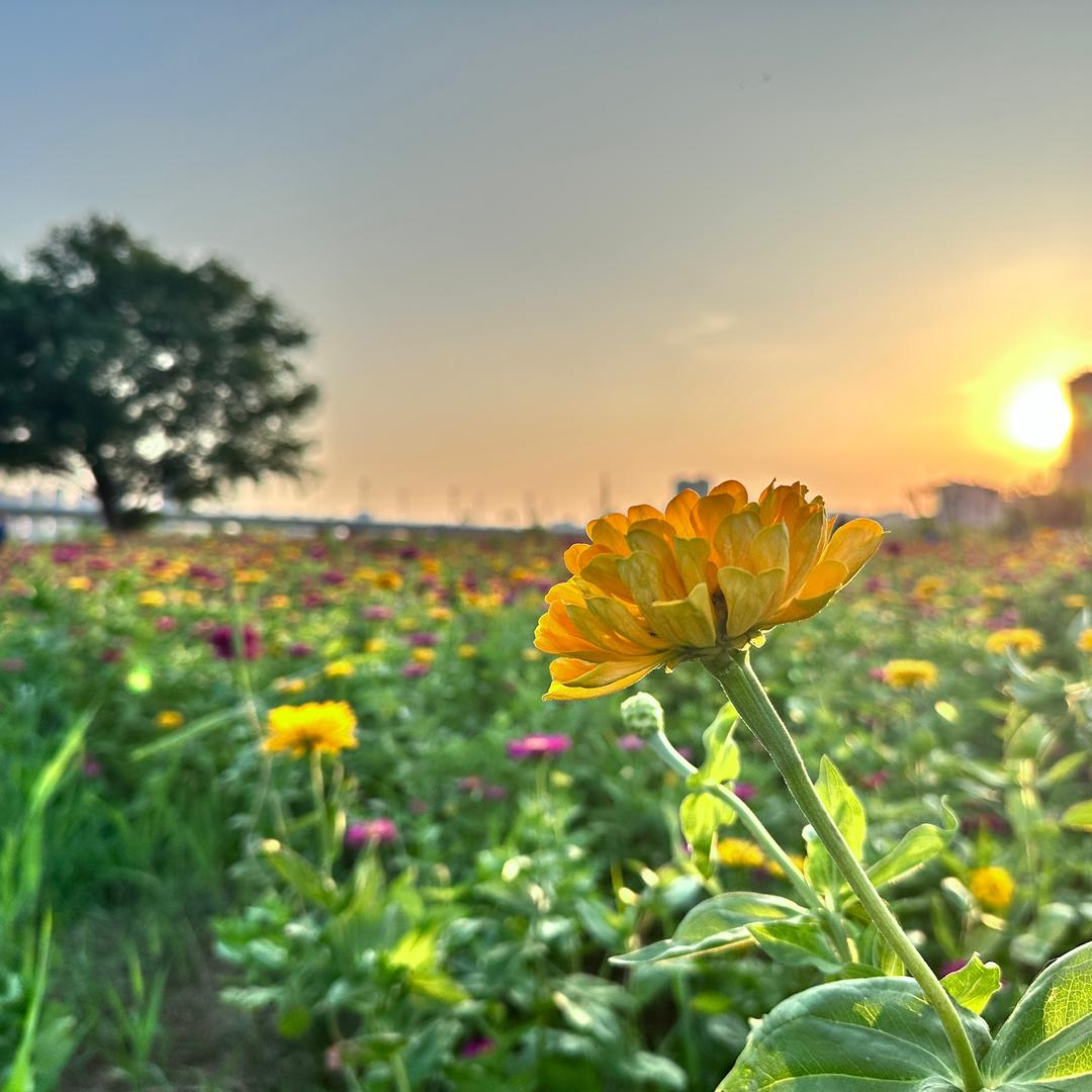 婉之情绪自留地