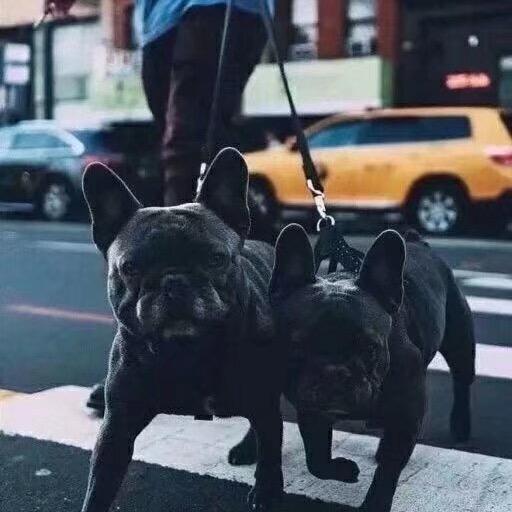 唐悦连锁惠阳店