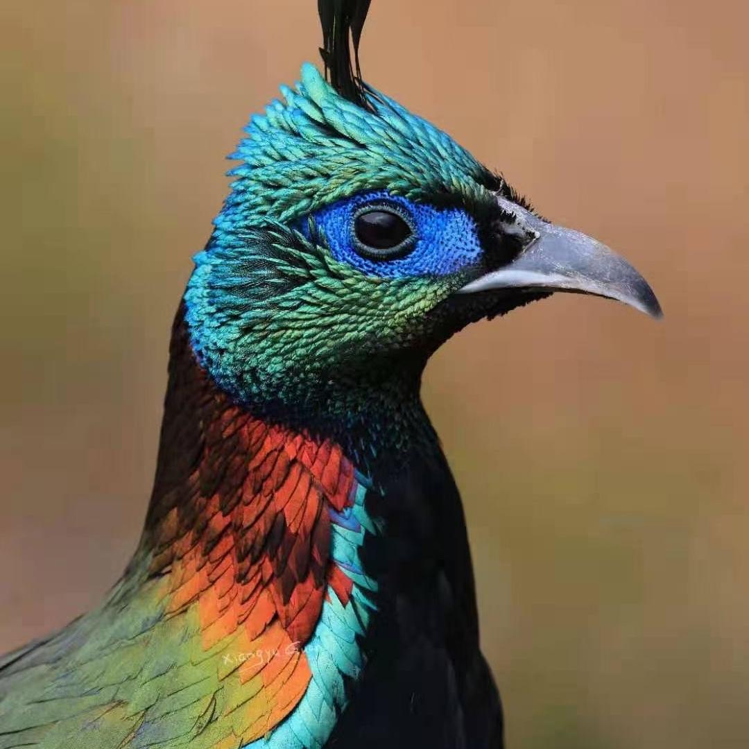 西藏弘盛鑫房地产中介服务有限公司