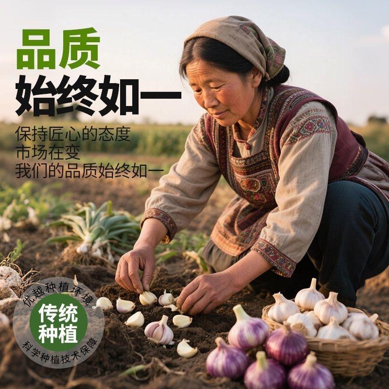 田园香之农产品