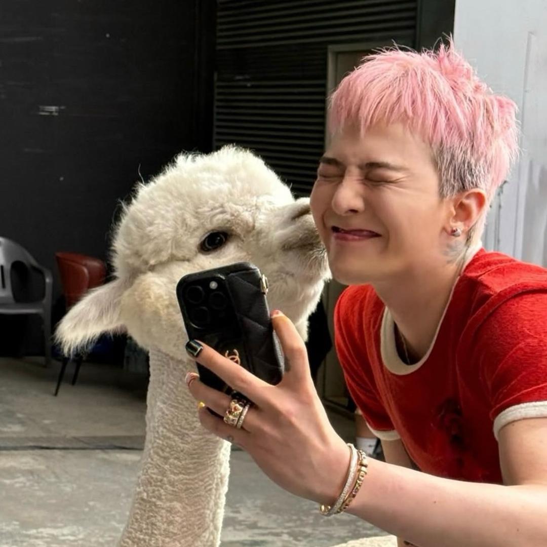 /•᷅•᷄\୭✴︎難 哄🤍🕊