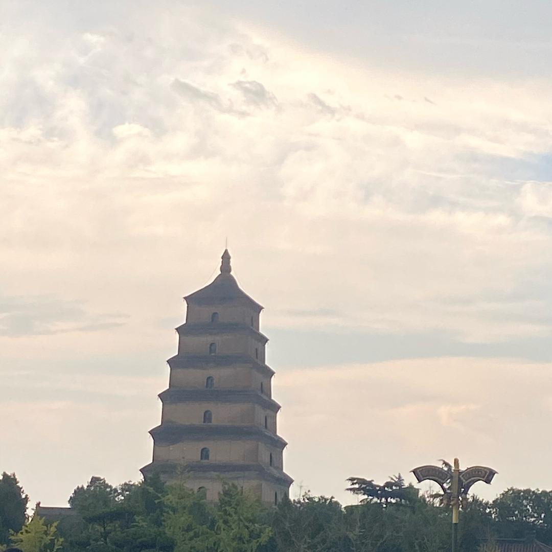 学生时代的菲哥