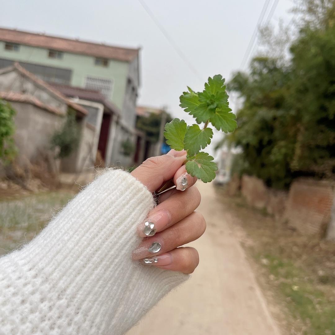 ^_^顺其自然^_^