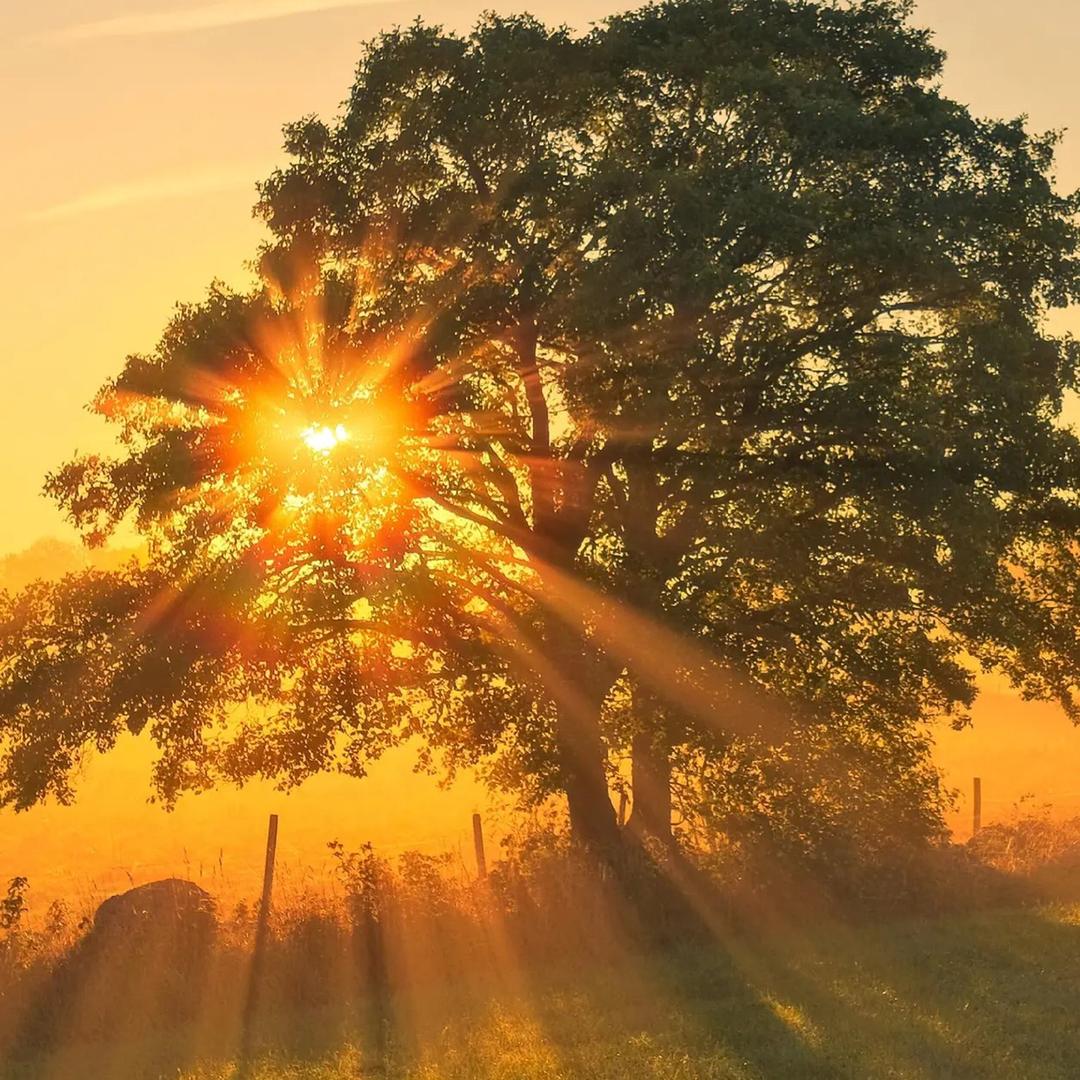 倩姐特色牛杂面（总店）🌸☀️🌸