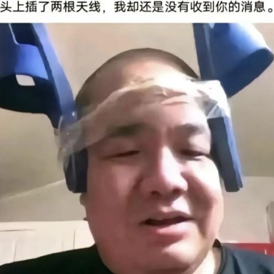 没头脑🐷