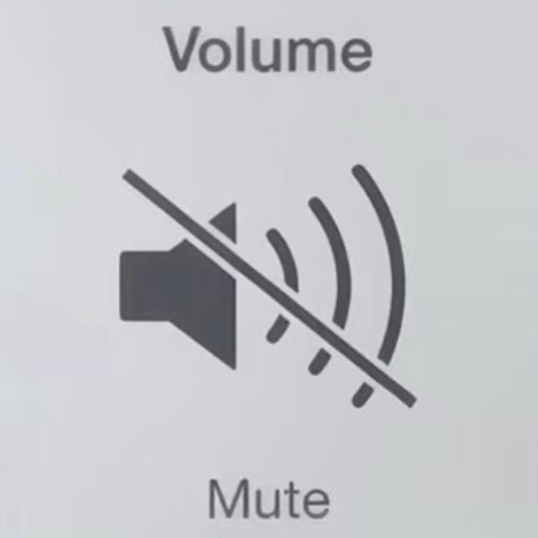 小新没蜡笔🖍️