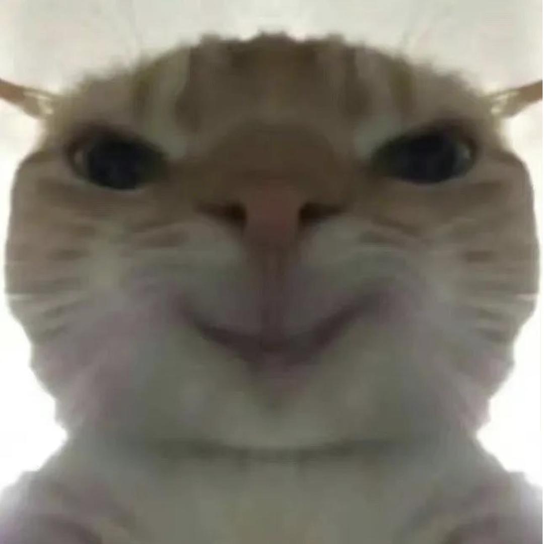 终极牛马