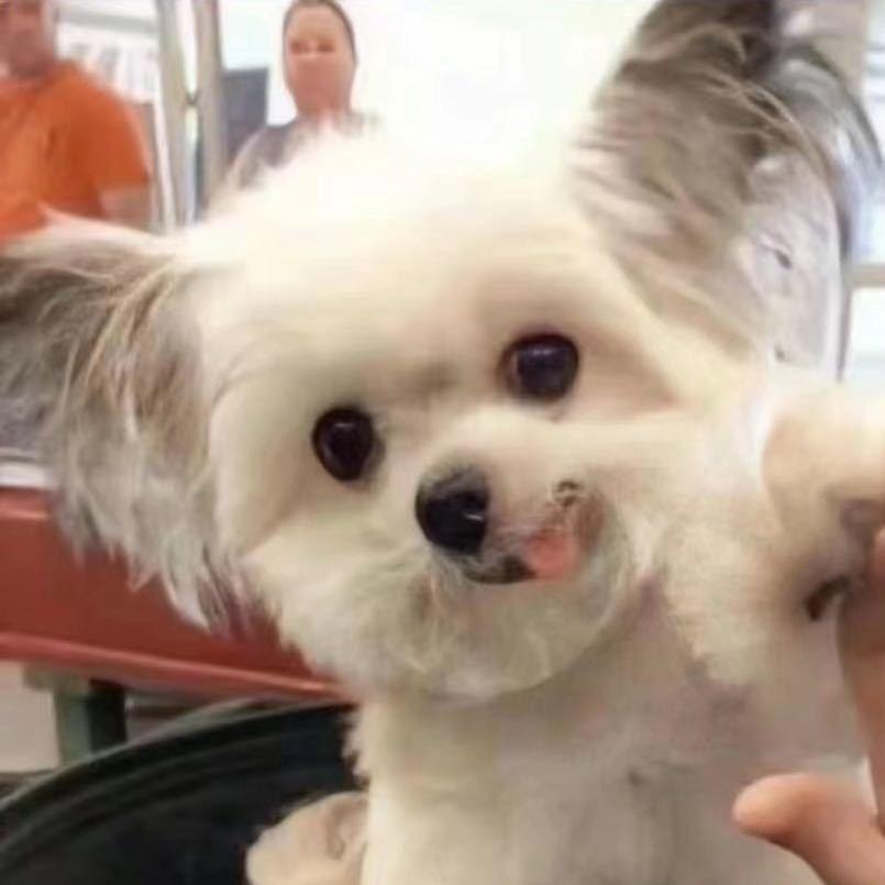 科宇学长（全品类撸货）