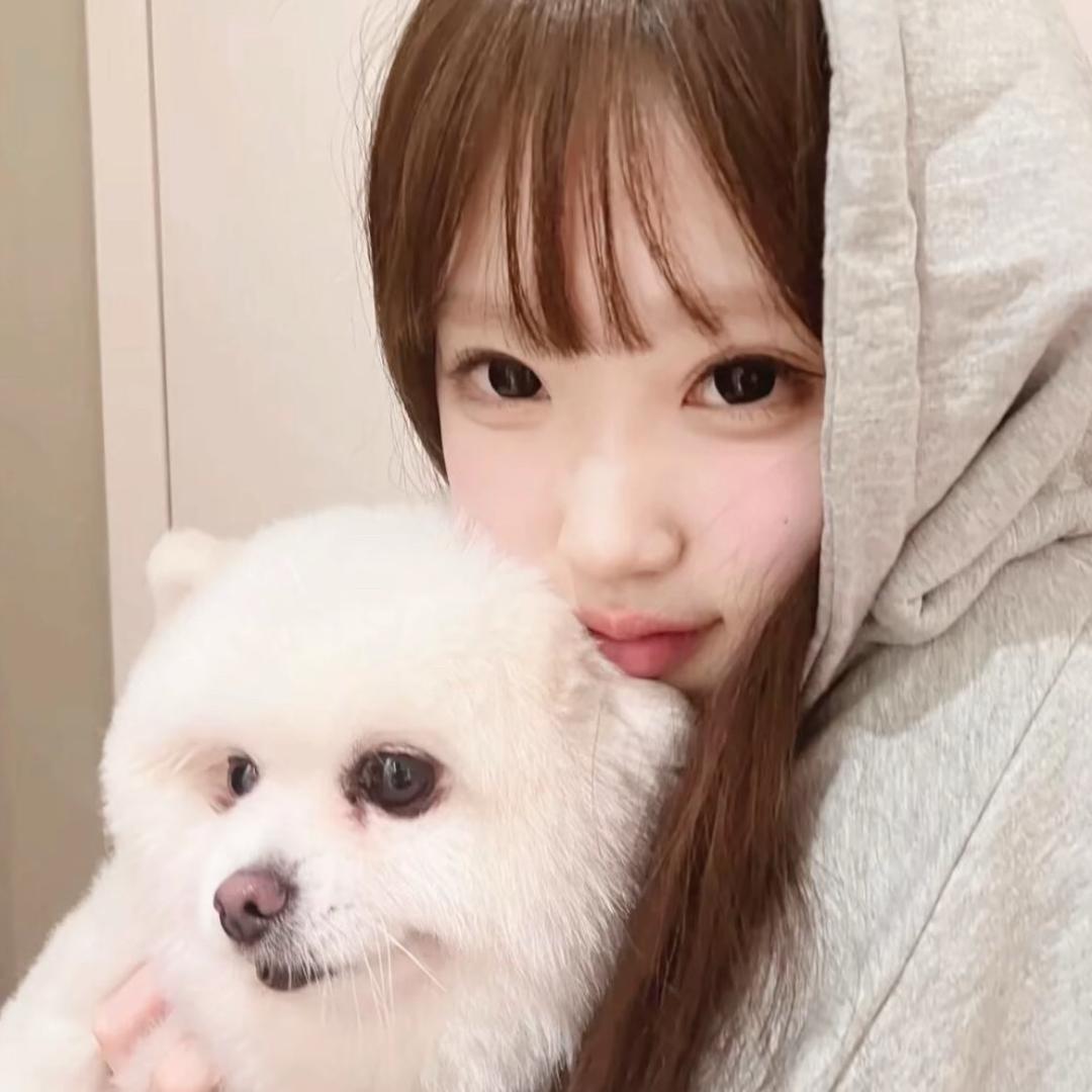 文文