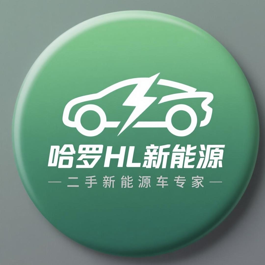 哈尔滨信诚绿电新能源二手车