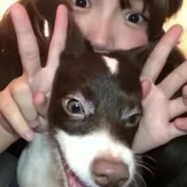 能不能不吃饭