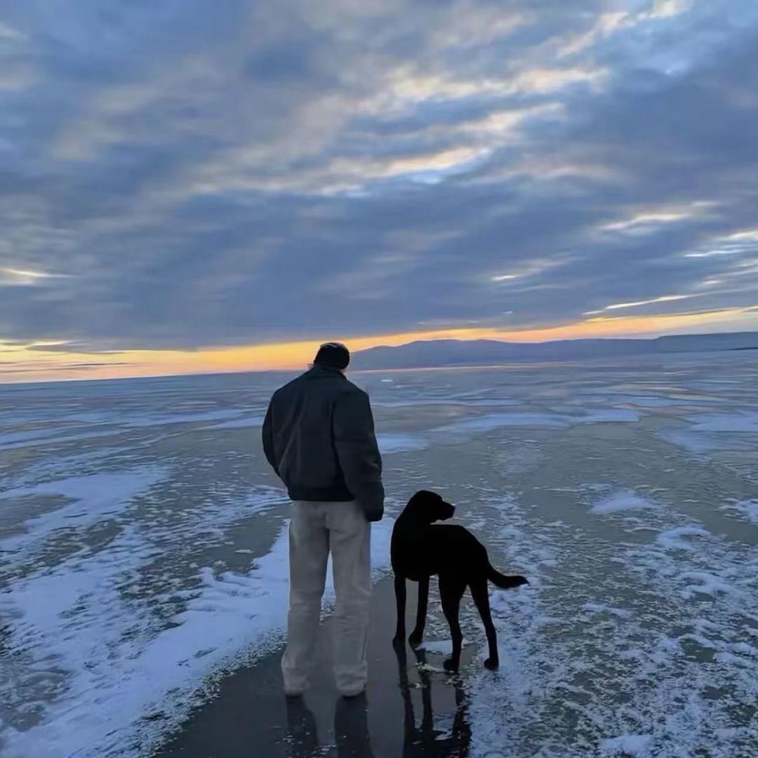 饺子(无畏契约)