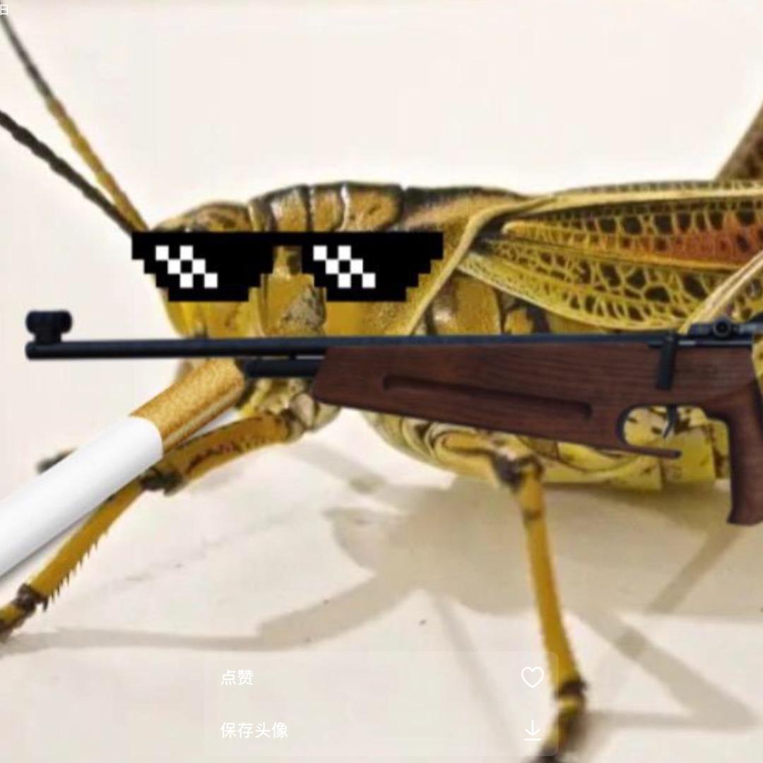 蝗虫ya