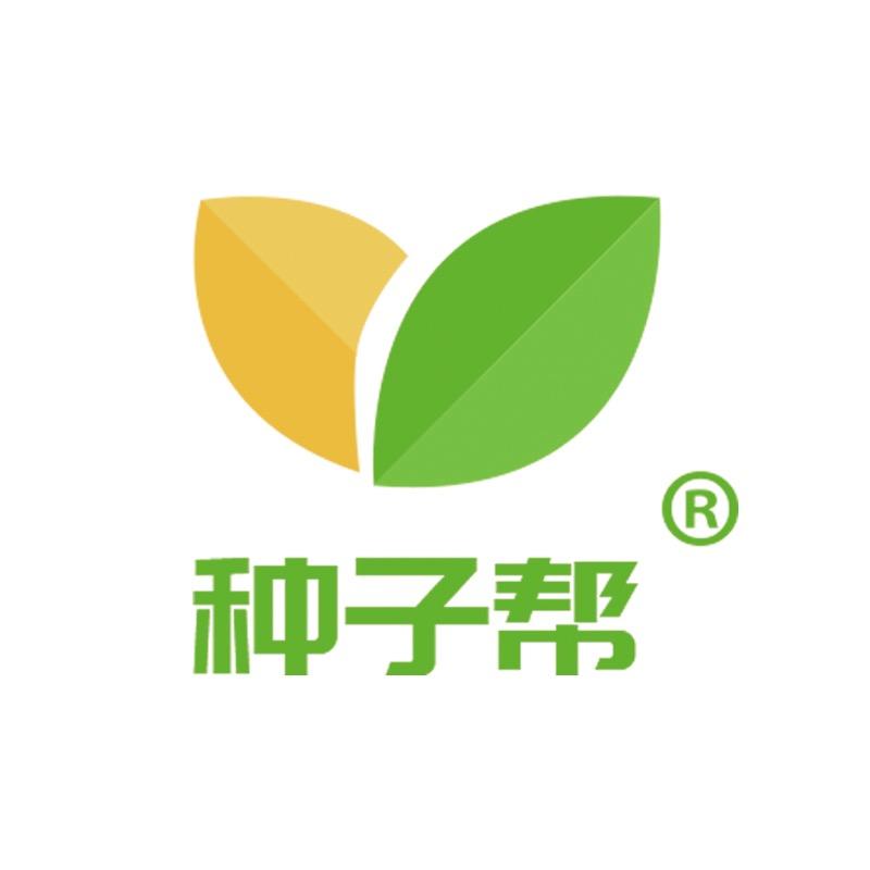 种子帮
