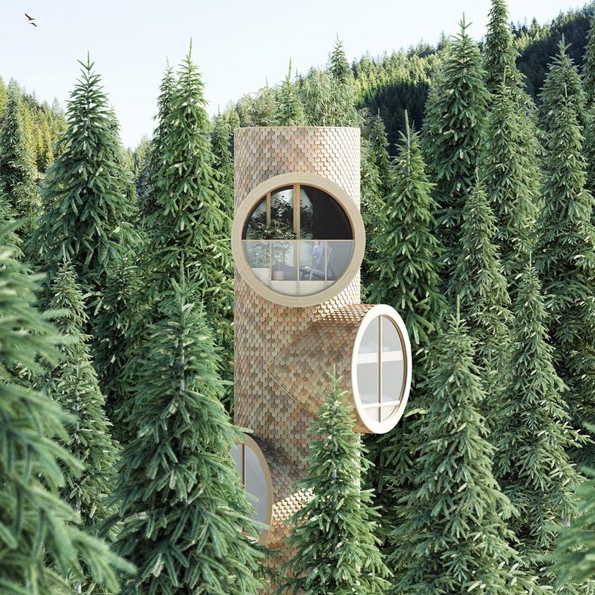 湖北省至谈往商贸有限公司