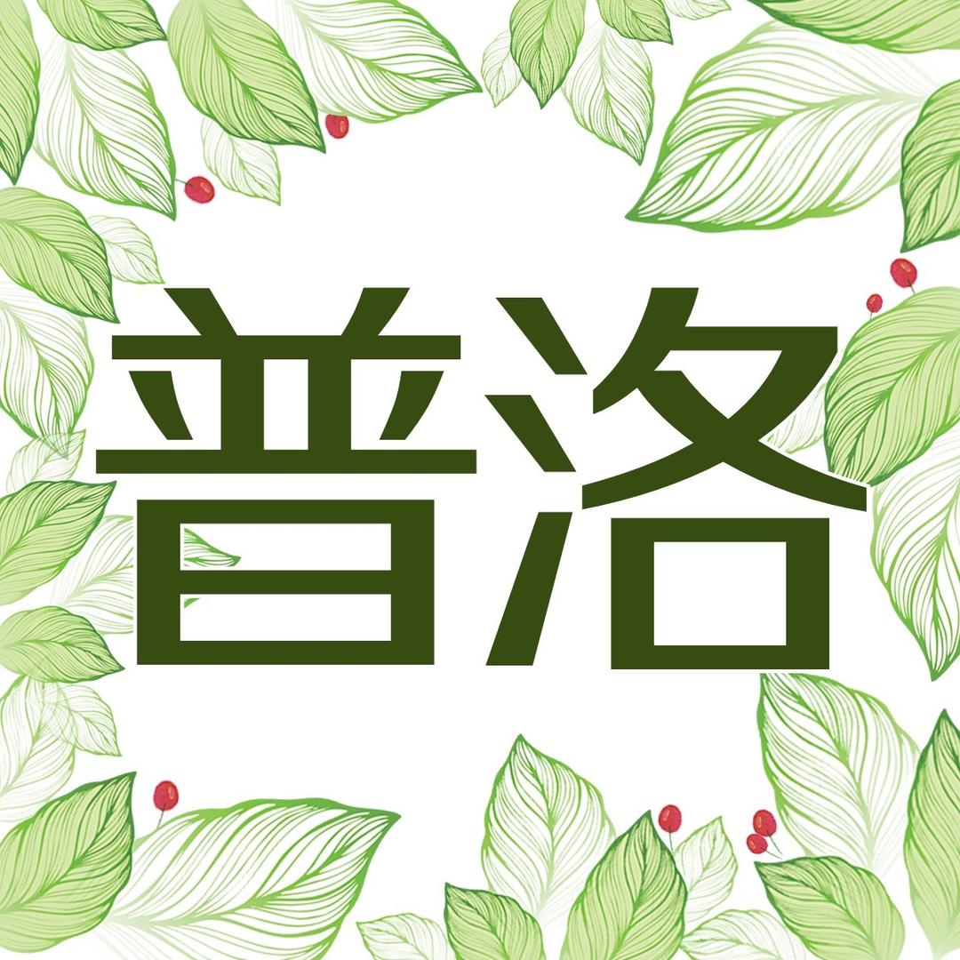普洛日本