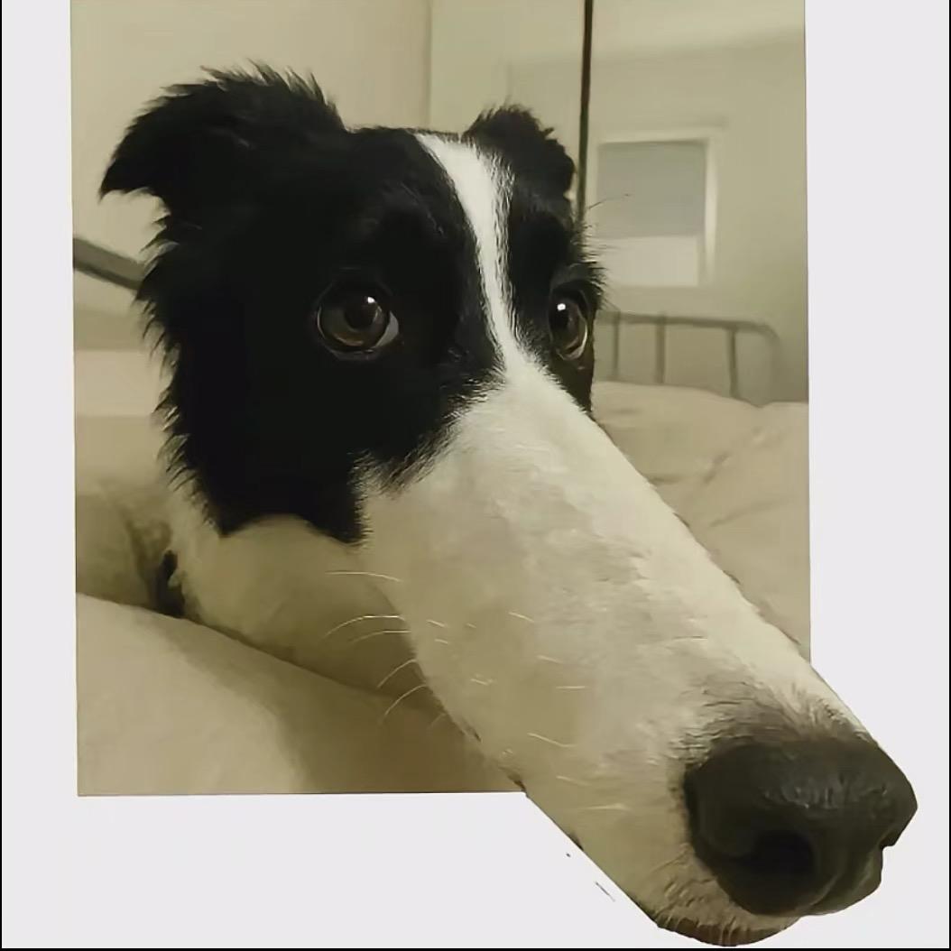 宇宙无敌第一大帅哥