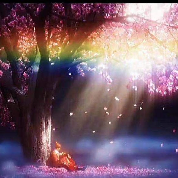 神光✨