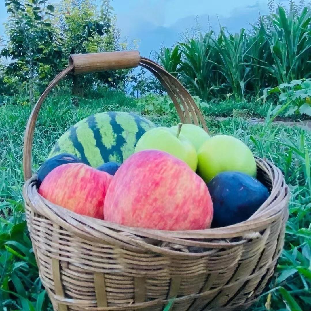 昭阳区俏果家人水果店（个体工商户）