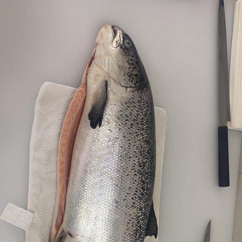 岚山区臻味三文鱼