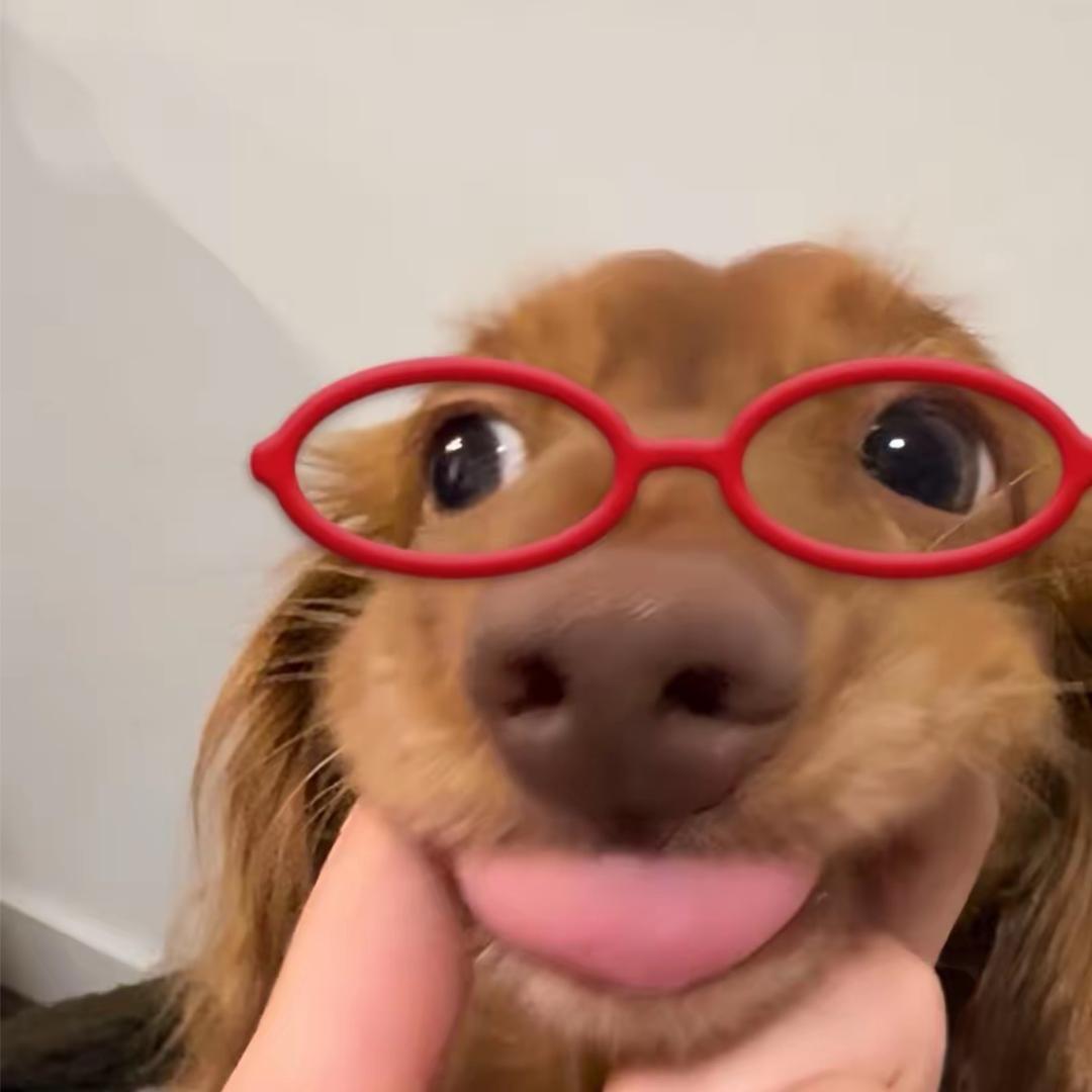 一只椰