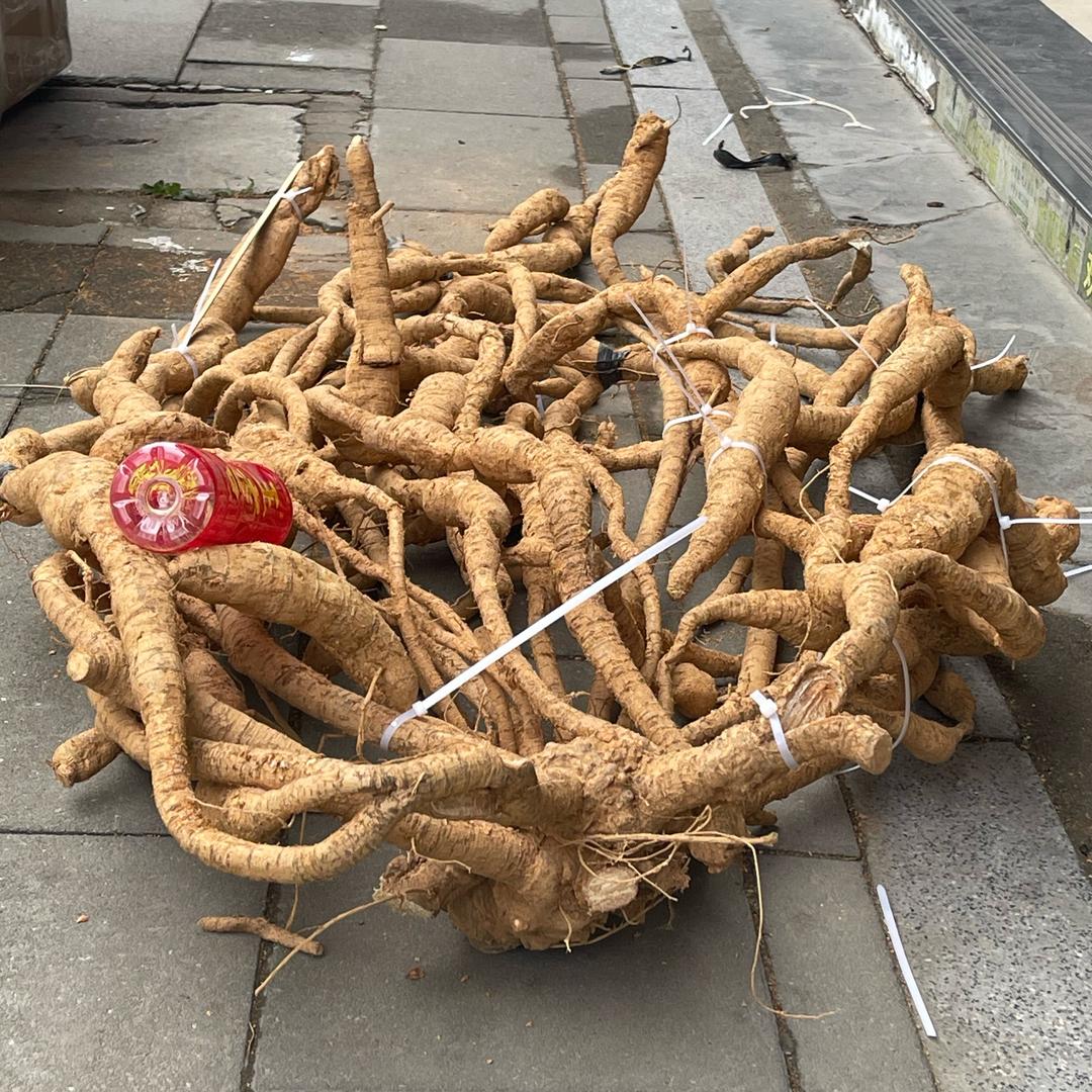 牛魔王天哥深山老货