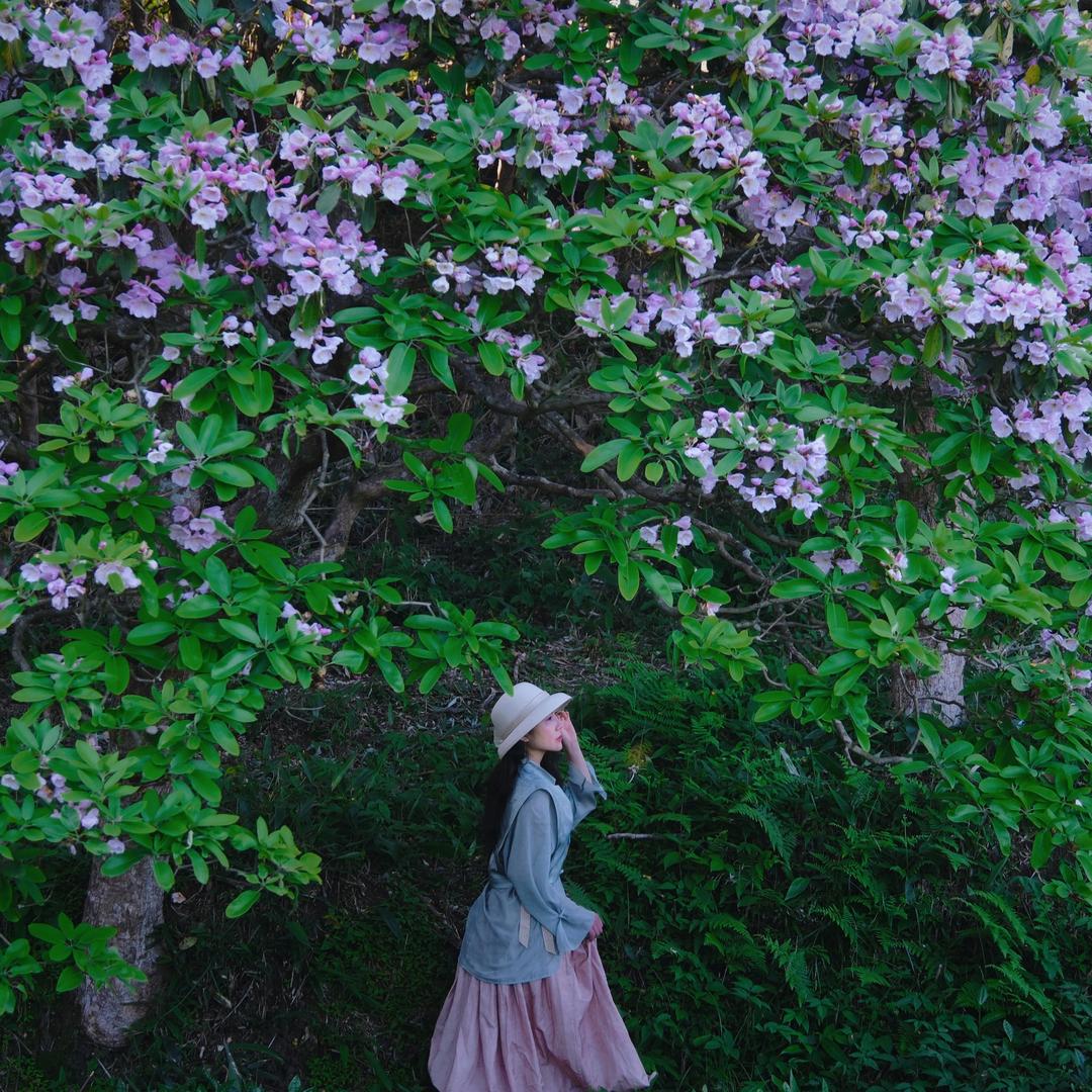 花谷闲农美学空间授权号