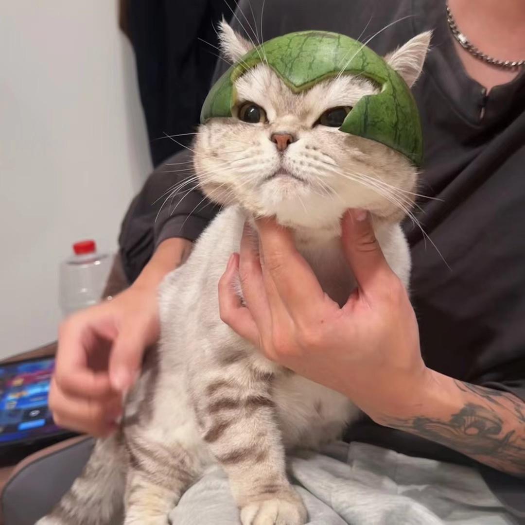 三妹的皮卡丘