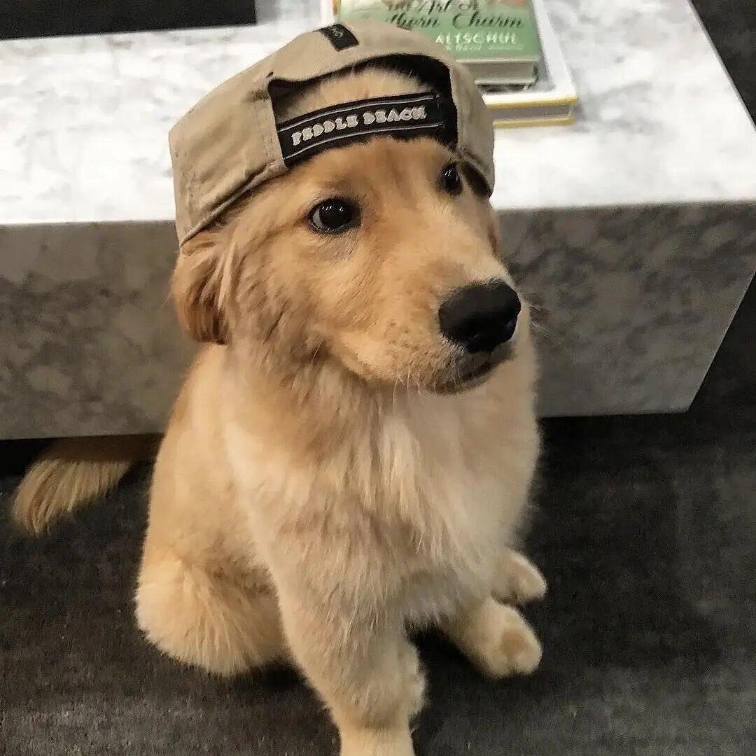 a浩🎺