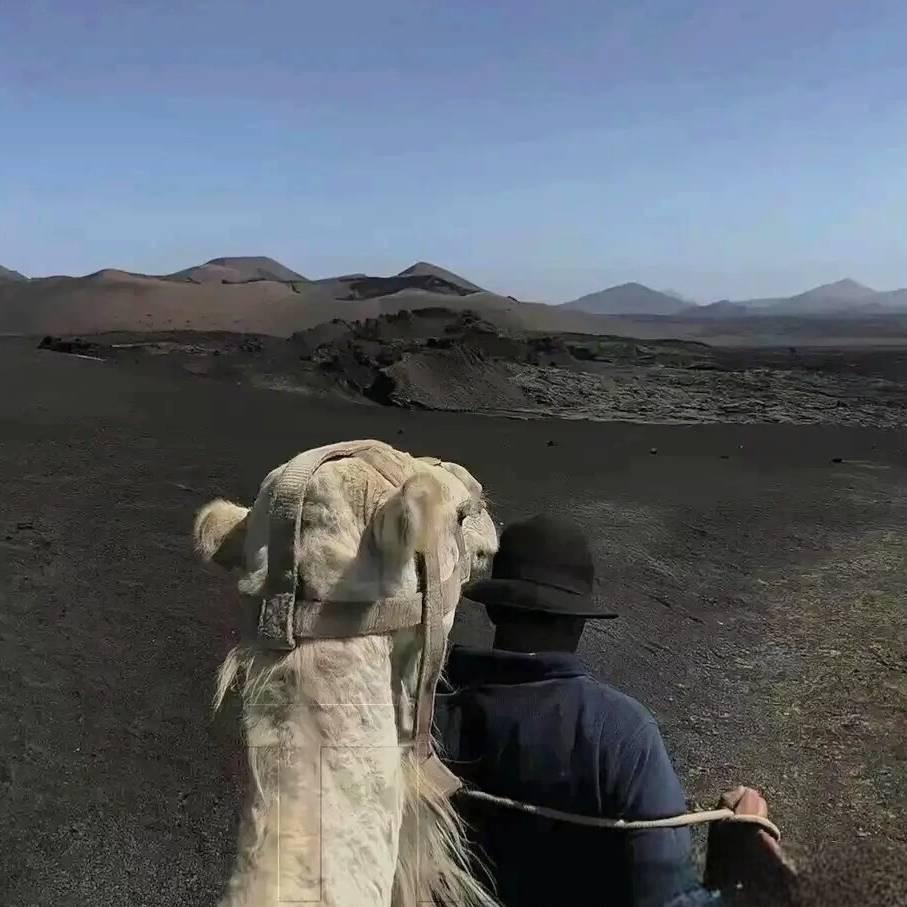 哈哈哈哈哈哈哈