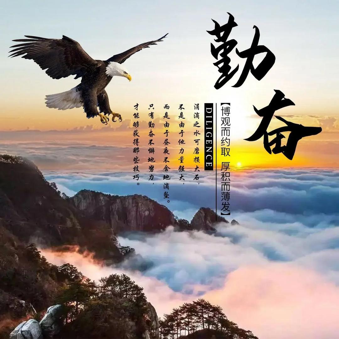 再创辉煌2025