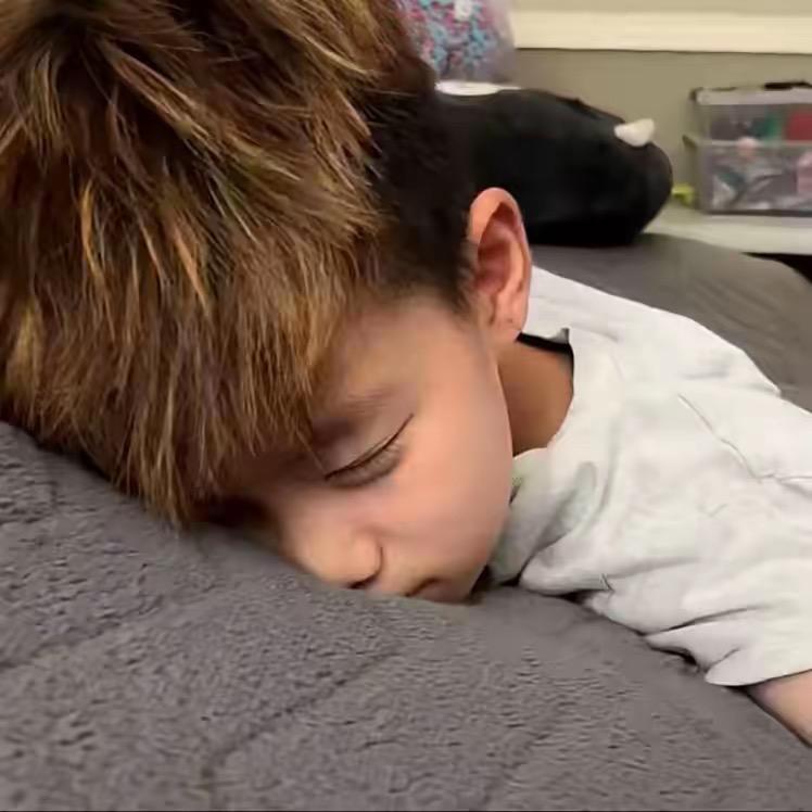 ㅤㅤㅤㅤㅤㅤ