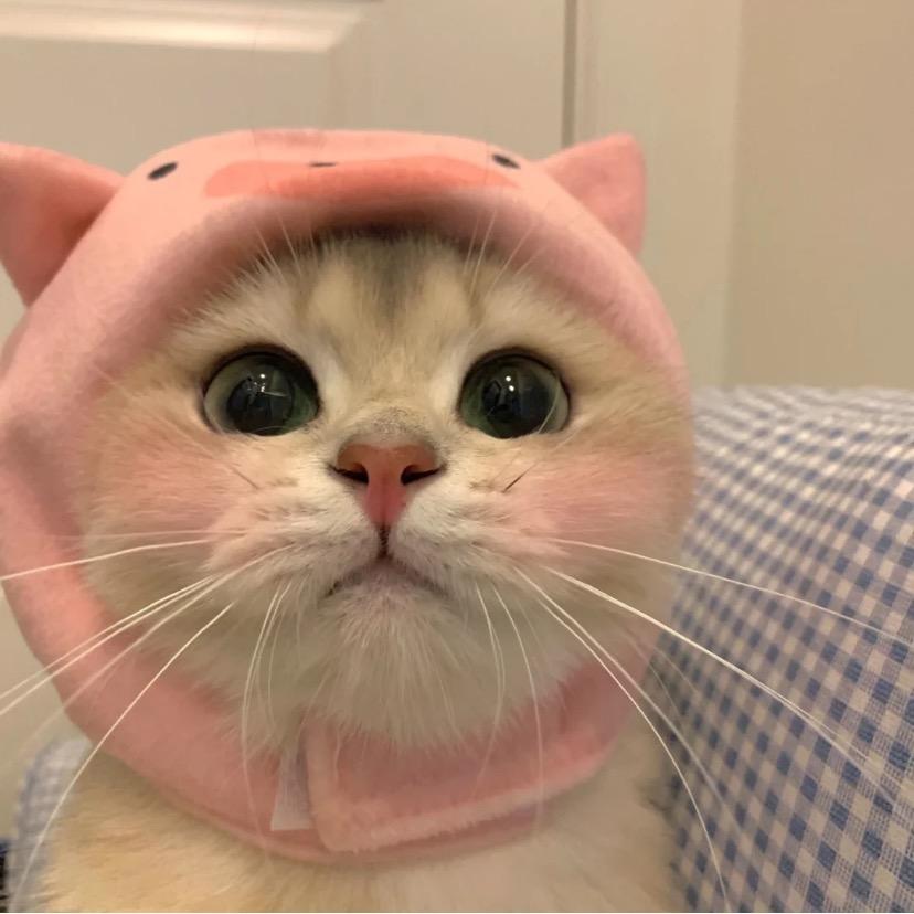 阿静