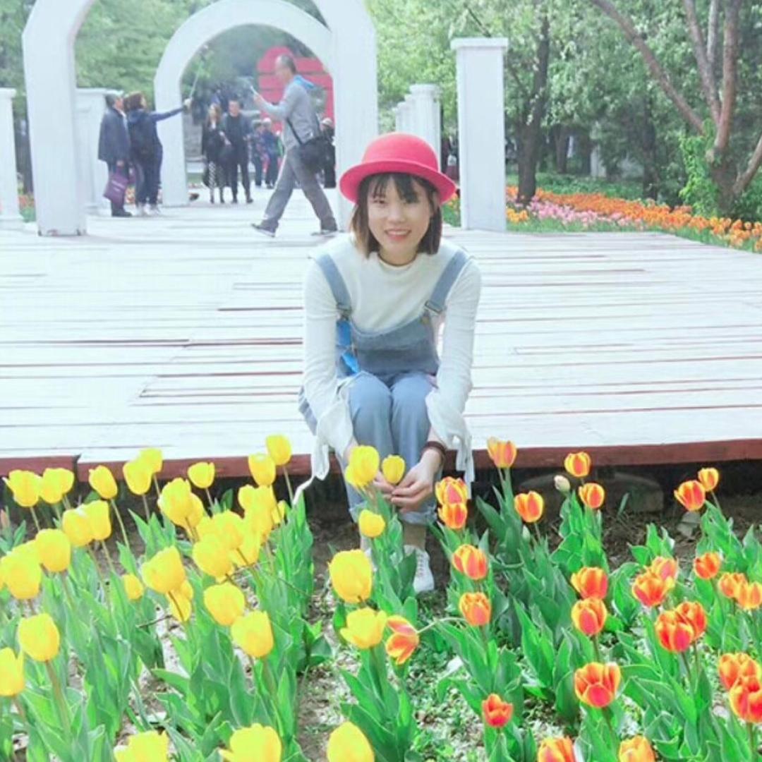 小鲸鱼~