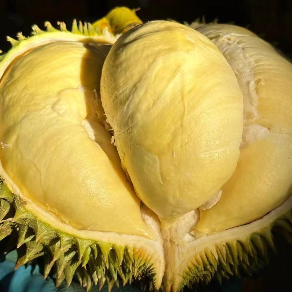 合沐果业@刘氓兔