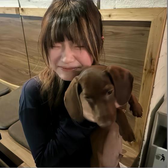 秋秋.